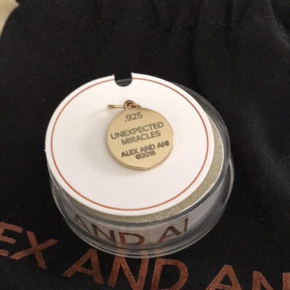Alex and Ani Unexpected Miracles necklace charm - Picture 3 of 3